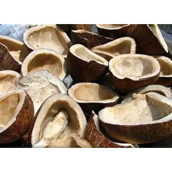 Fresh Dried Coconut